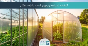 گلخانه شیشه ای بهتر است یا پلاستیکی